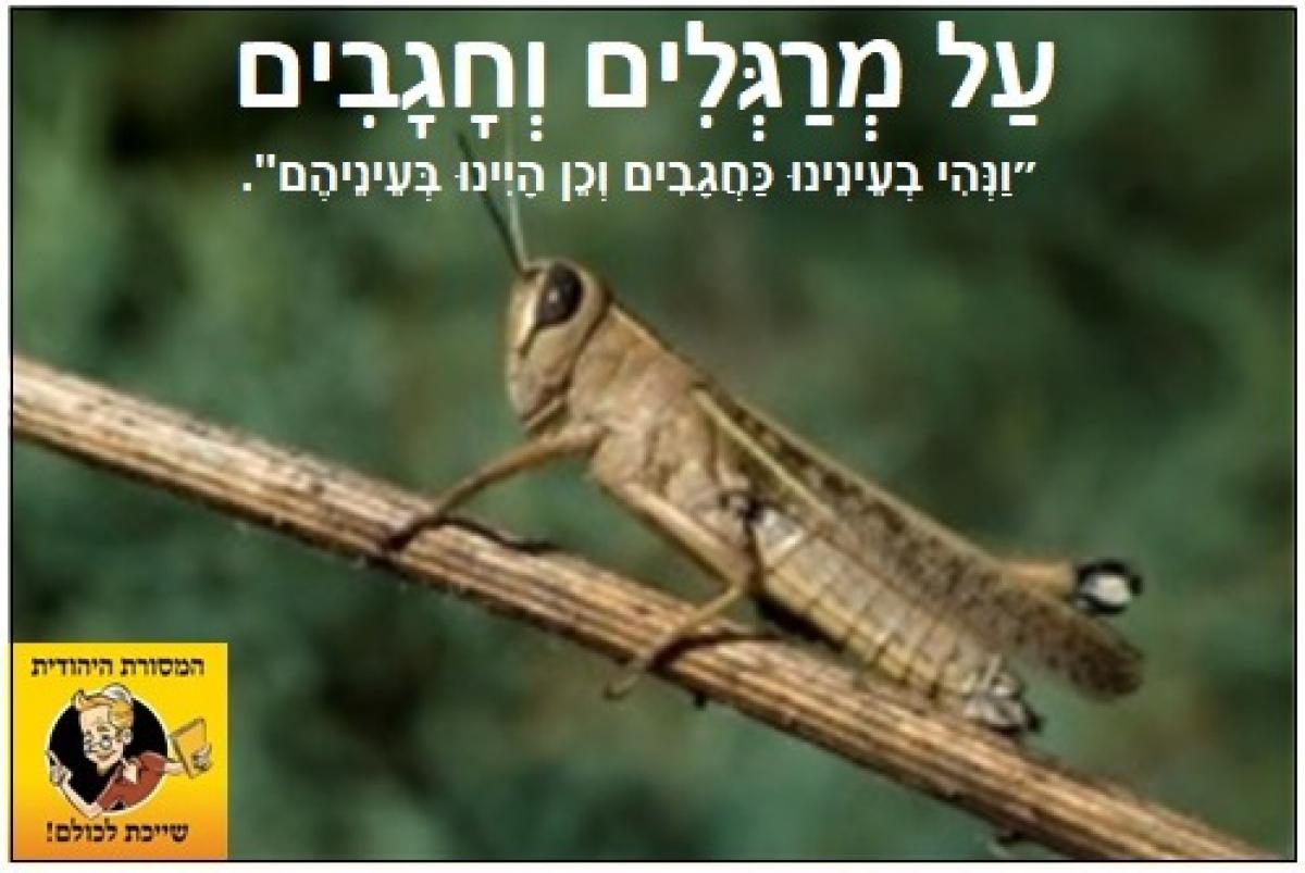 מה המצווה החשובה ביותר בפורים?