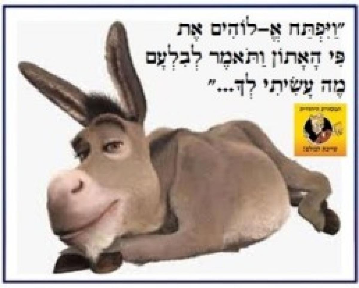 מה המצווה החשובה ביותר בפורים?